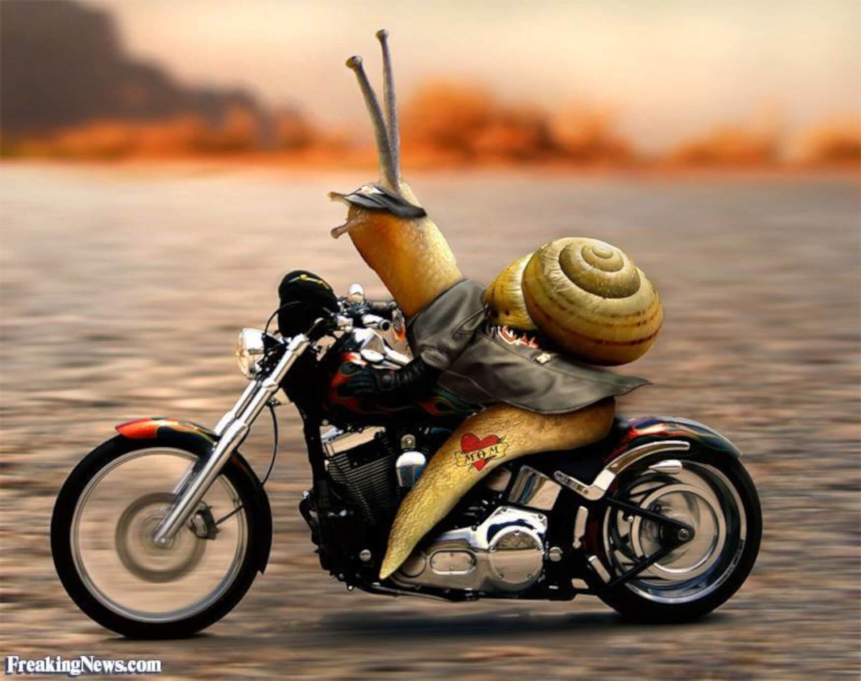 Riding in slow motion