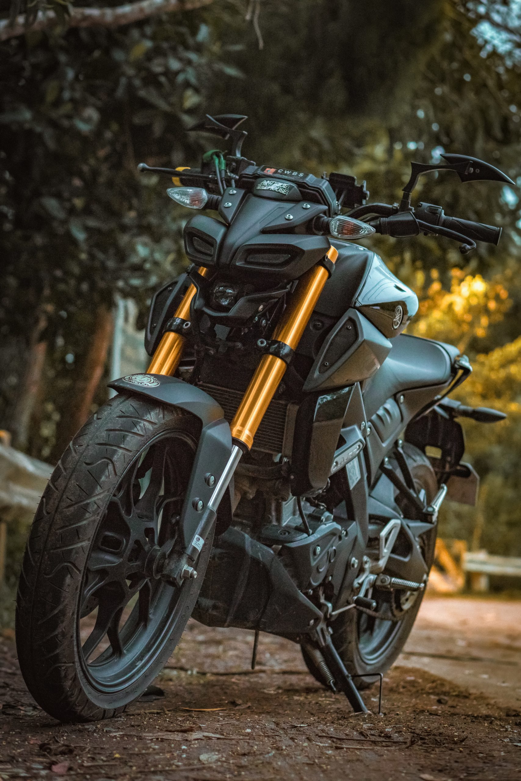 Motorcycle Basics